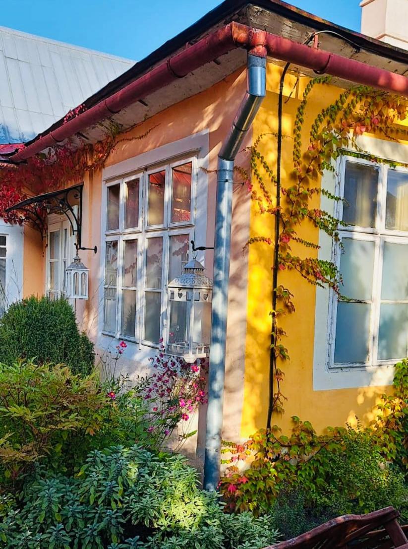 Vila Stiavnica Banská Štiavnica Exteriör bild